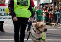 st-patricks-day-limerick-2012-126