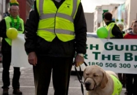 st-patricks-day-limerick-2012-127