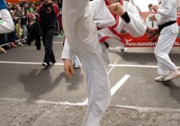 st-patricks-day-limerick-2012-175