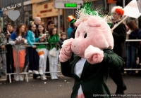 st-patricks-day-limerick-2012-182