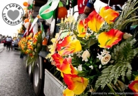 st-patricks-day-limerick-2012-19