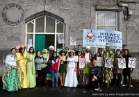 st-patricks-day-limerick-2012-7