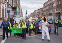 stop-limerick-dog-litter-bag-it-bin-it-i-love-limerick-24