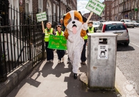 stop-limerick-dog-litter-bag-it-bin-it-i-love-limerick-25