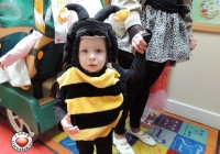 tait-house-comunity-enterprise-limerick-fun-day-11