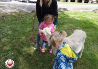 tait-house-comunity-enterprise-limerick-fun-day-38