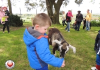 tait-house-comunity-enterprise-limerick-fun-day-39