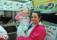 tait-house-comunity-enterprise-limerick-fun-day-41