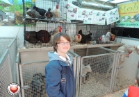 tait-house-comunity-enterprise-limerick-fun-day-71