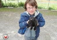 tait-house-comunity-enterprise-limerick-fun-day-73