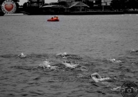 thomond-swim-2012-i-love-limerick-27