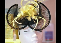 villiers-fashion-show-2012-i-love-limerick-13