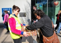 volunteer-happiness-day-i-love-limerick-102