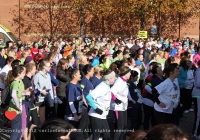 womens-mini-marathon-2012-i-love-limerick-096