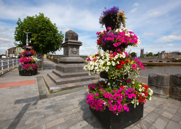 46 communities prepare for Limerick in Bloom judging stage