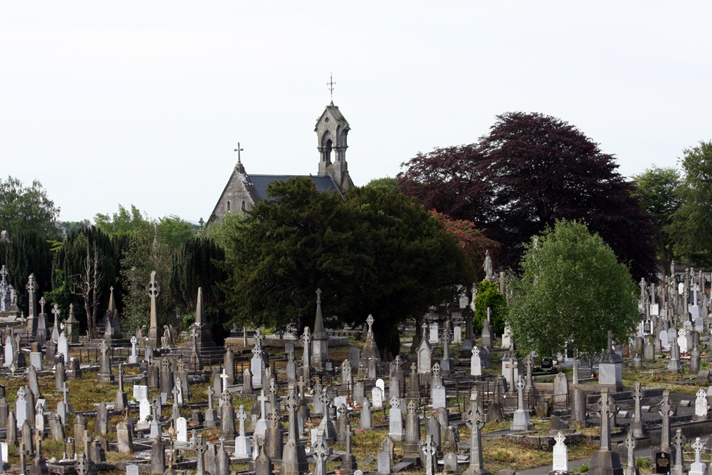 Conservation works begin at Mount St Lawrence Cemetery