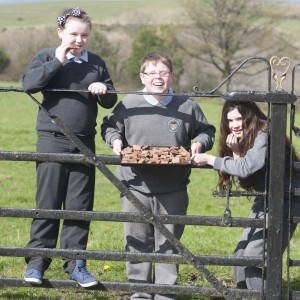 Pupils from Ballynahinch, National School, County Limerick with their fudge project, from left,Heather Bradshaw, Cathal Cooney and Niamh Anderson.