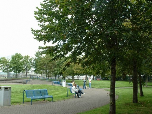 Limerick Wildlife - Nature connects the city