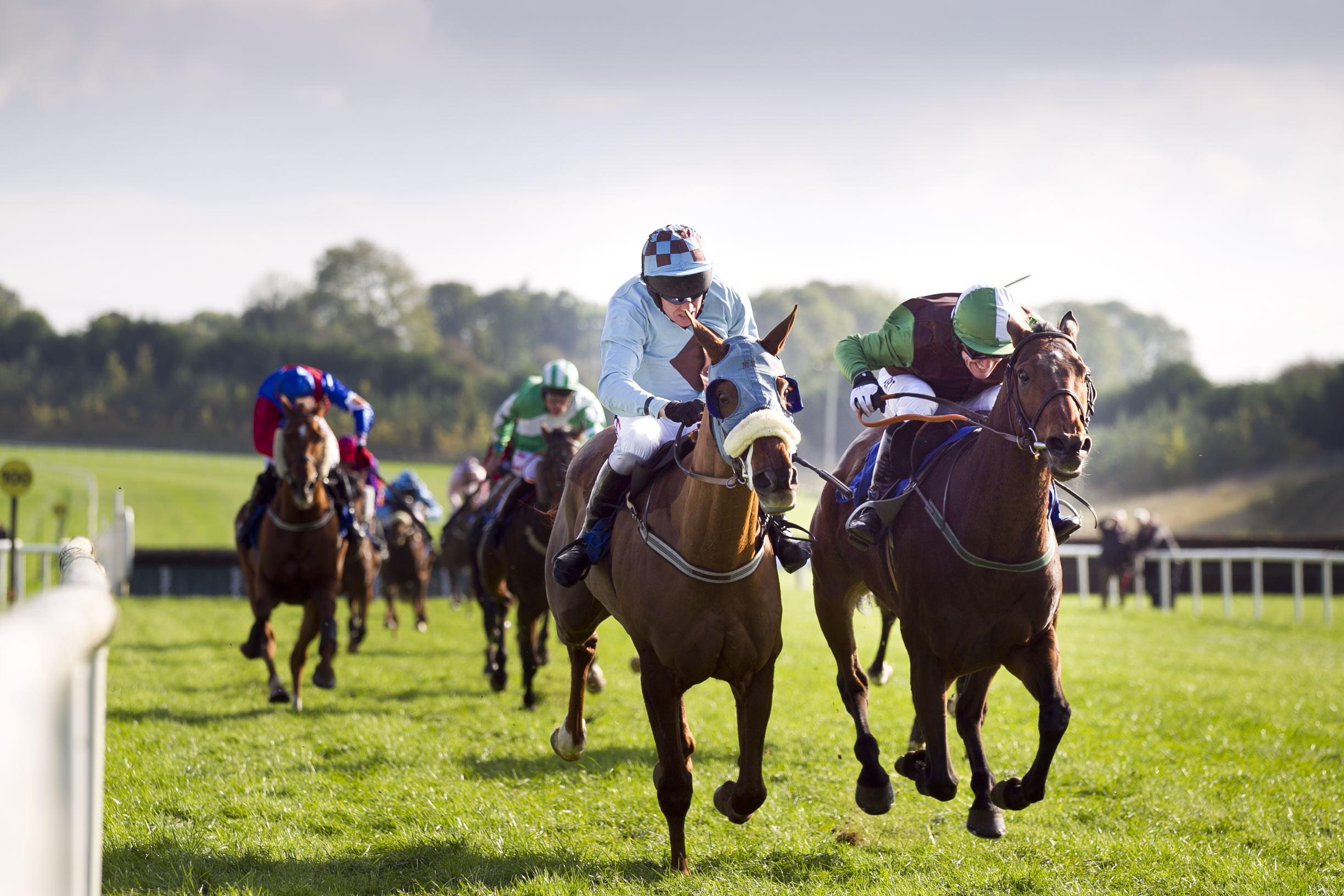 Limerick Racecourse St Patricks