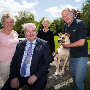 Campaign steps us to combat dog fouling in Limerick