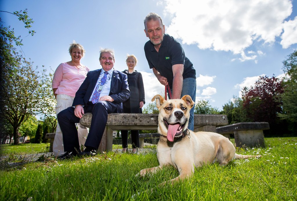 Campaign steps us to combat dog fouling in Limerick/Any Bag Any Bin campaign