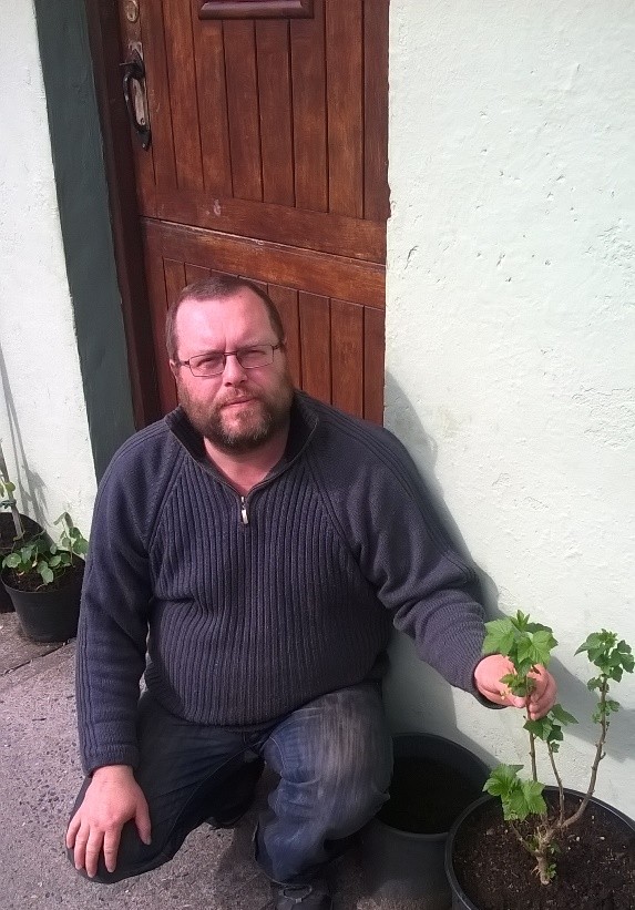 Albert Nolan's Wild about Limerick