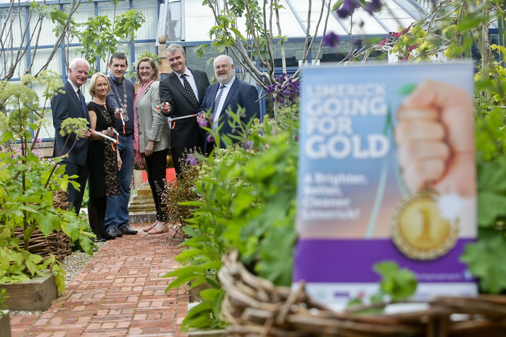 New-look Limerick Going for Gold is launched