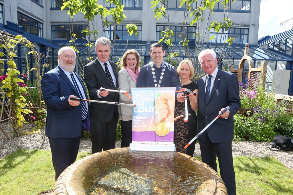 Limerick Going for Gold 2015 Community Challenge