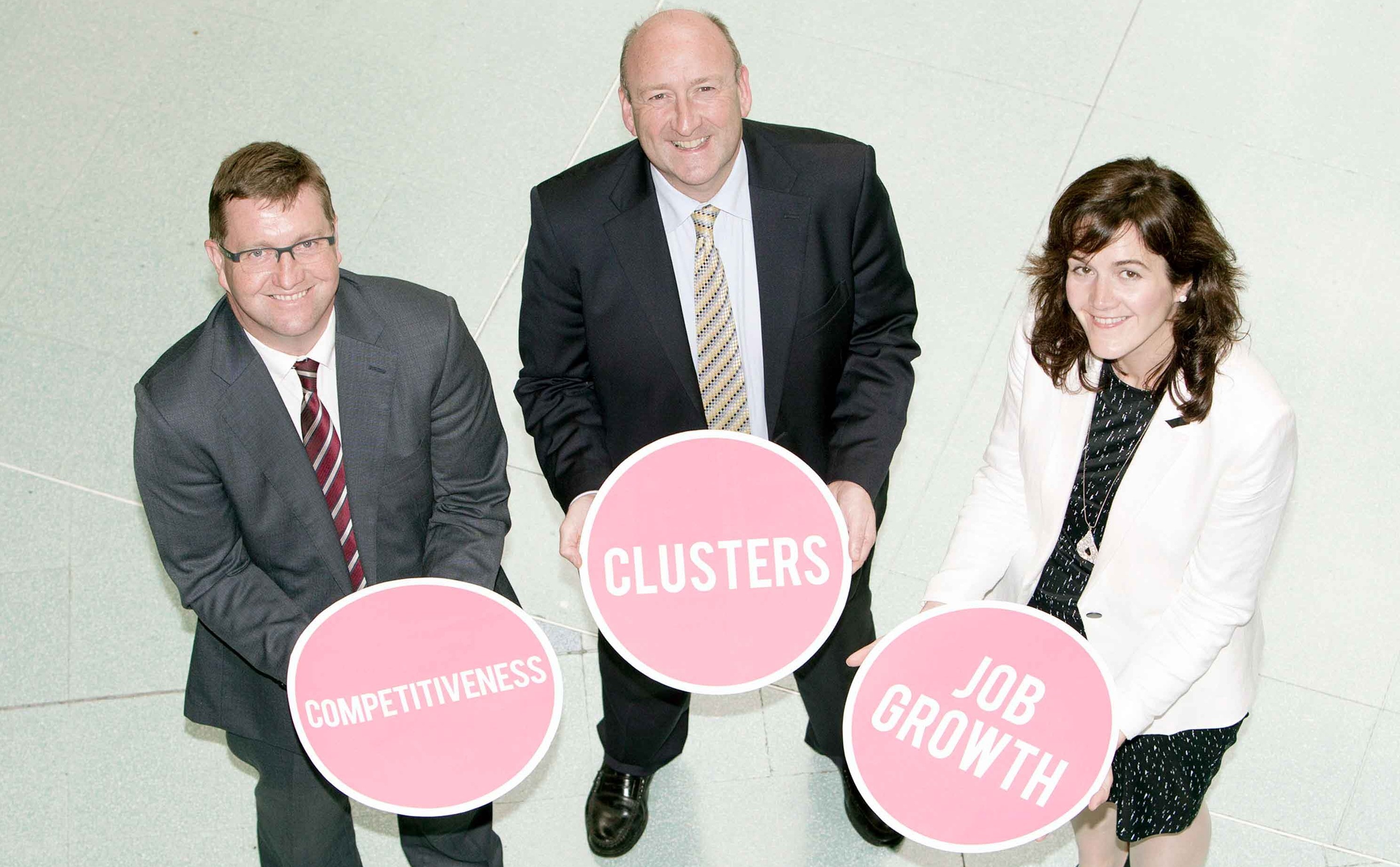 The National Sports Business Cluster is to be established in Limerick