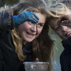 2016 RDS Primary Science Fair