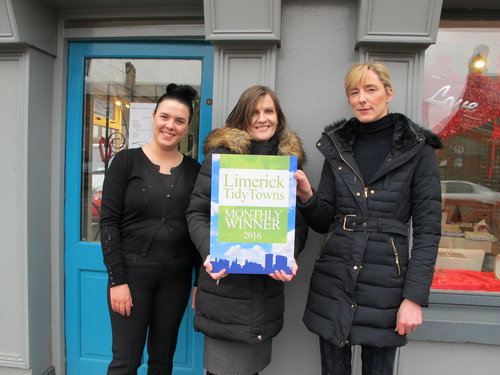 Limerick Tidy Towns Monthly Award for February 2016