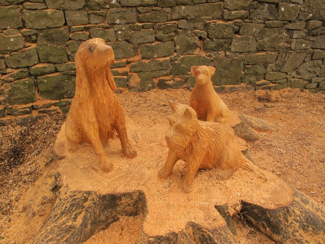 Three New Wooden Sculptures at the Peoples Park