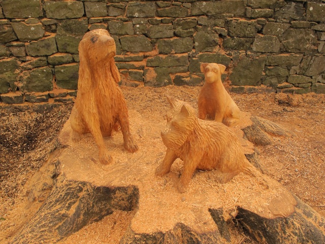 Three New Wooden Sculptures at the Peoples Park