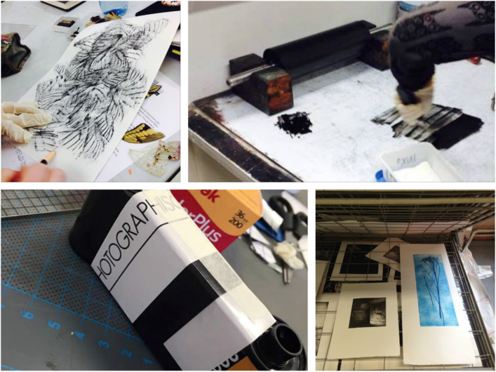Limerick Printmaker Creative Courses 2016