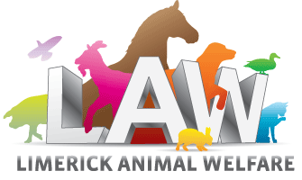 Limerick Animal Welfare need your help