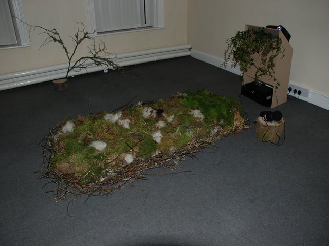 Scarlet Poisies exhibition