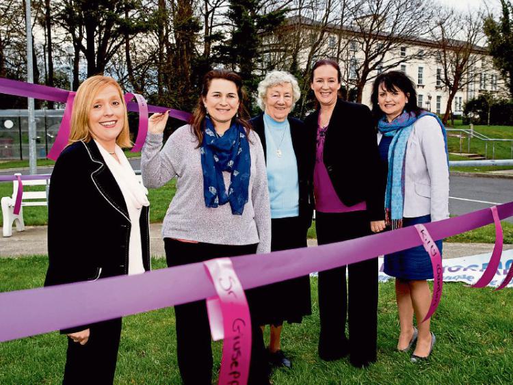 Milford Hospice Memorial Walk 2016