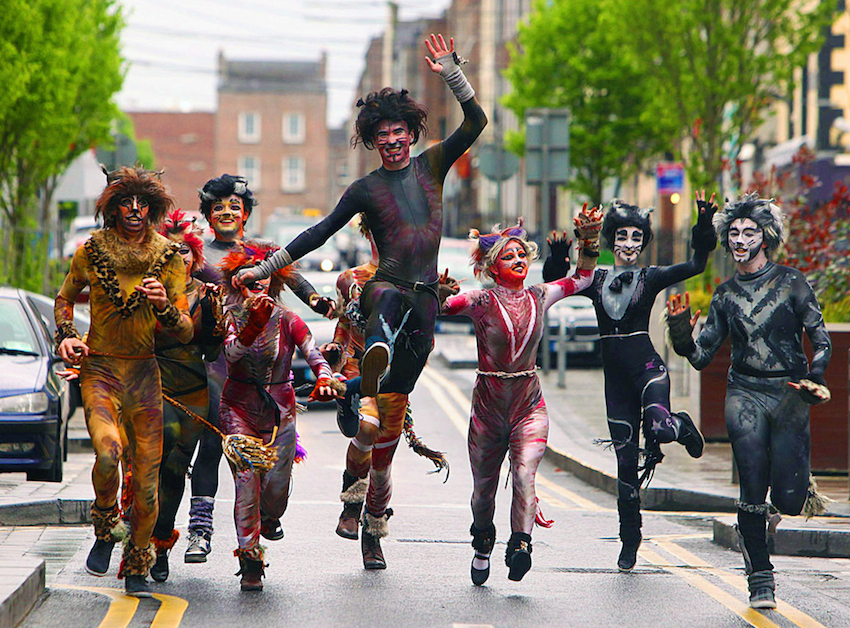 TomCat Limerick Street Festival 2016