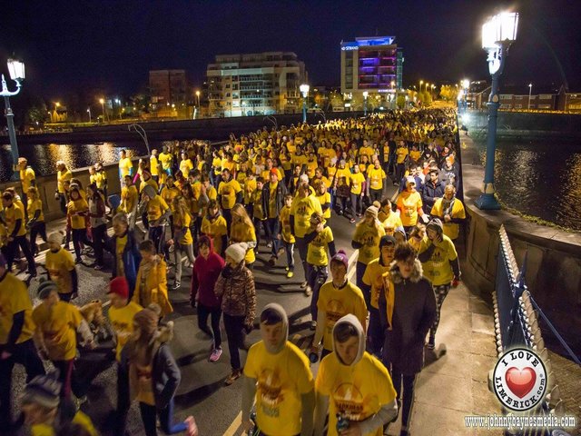 Darkness into light limerick 2016