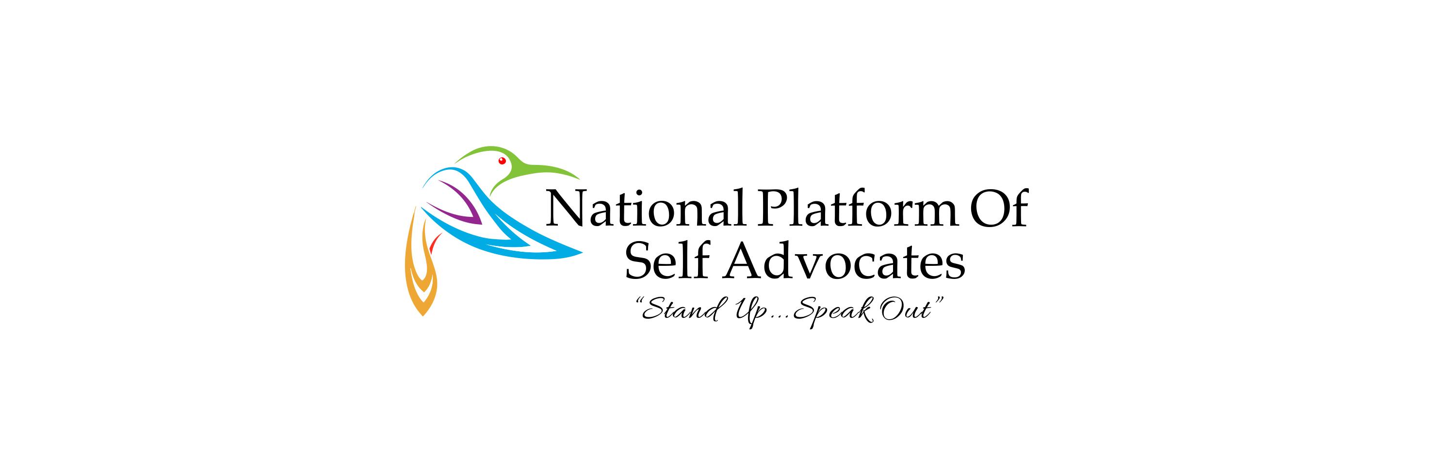 National Platform of Self Advocates Limerick meeting