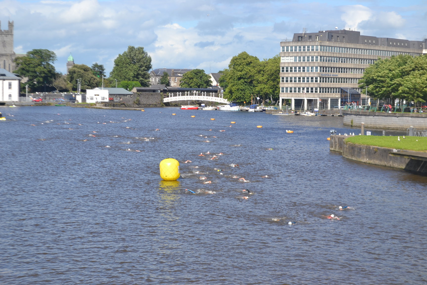 Thomond Swim 2016