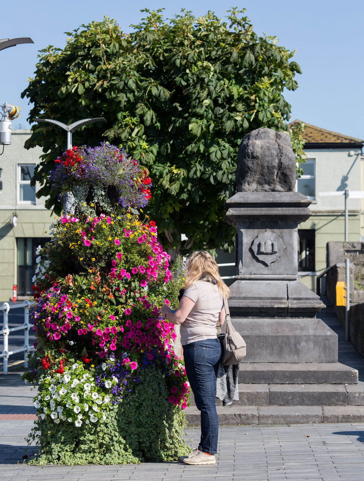 Parks Department Vibrant flowers brighten Limerick city centre