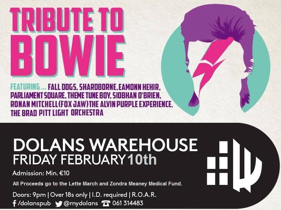 David Bowie Tribute Fundraiser For Zondra Meaney and Lette March