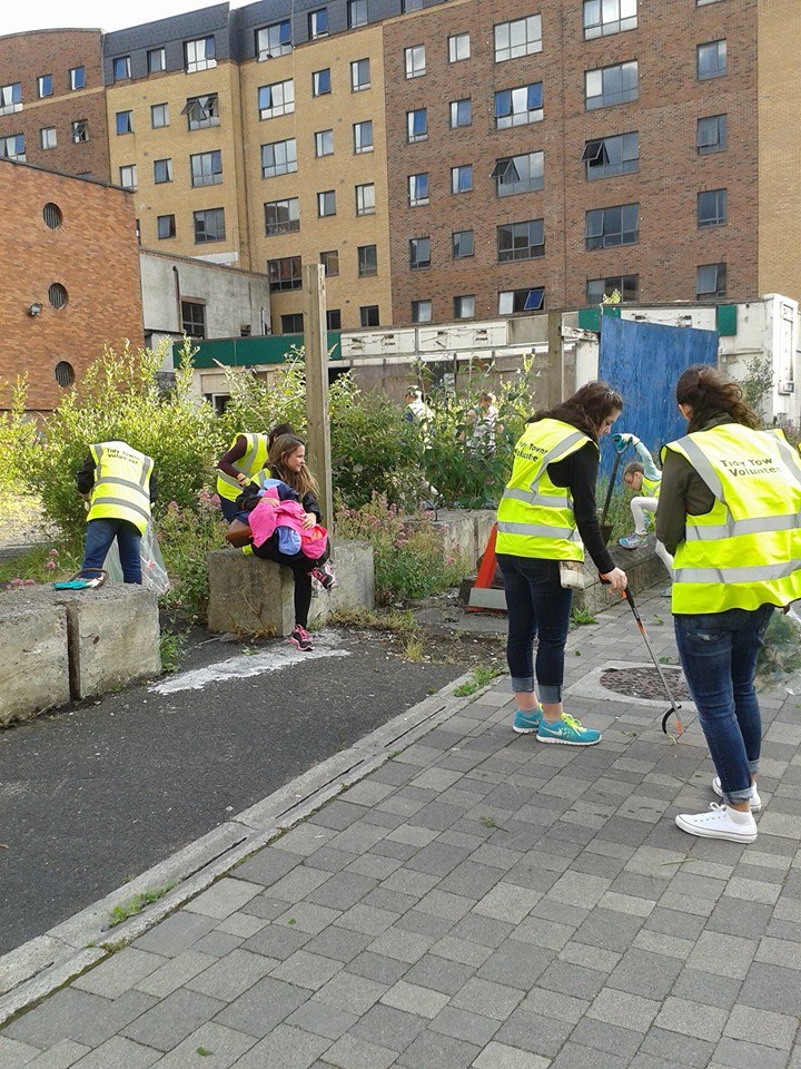 Limerick Tidy Towns’ Monthly Award February 2017 winners