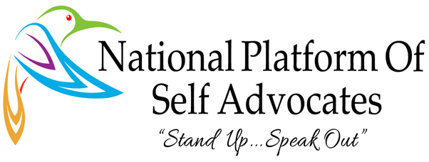 National Platform Research Report