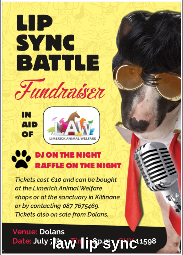 Limerick Animal Welfare Lip Sync Battle Fundraiser Limerick Animal Welfare Lip Sync Battle Fundraiser