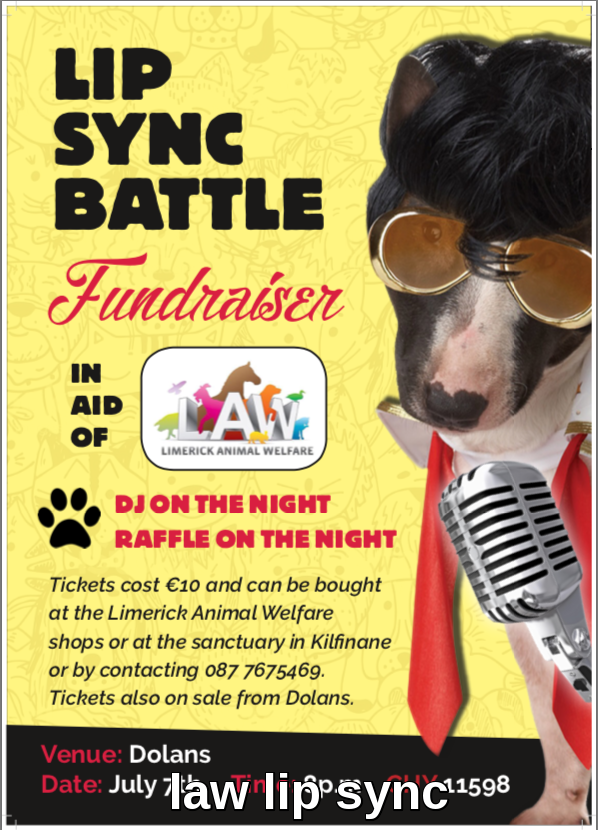 Limerick Animal Welfare Lip Sync Battle