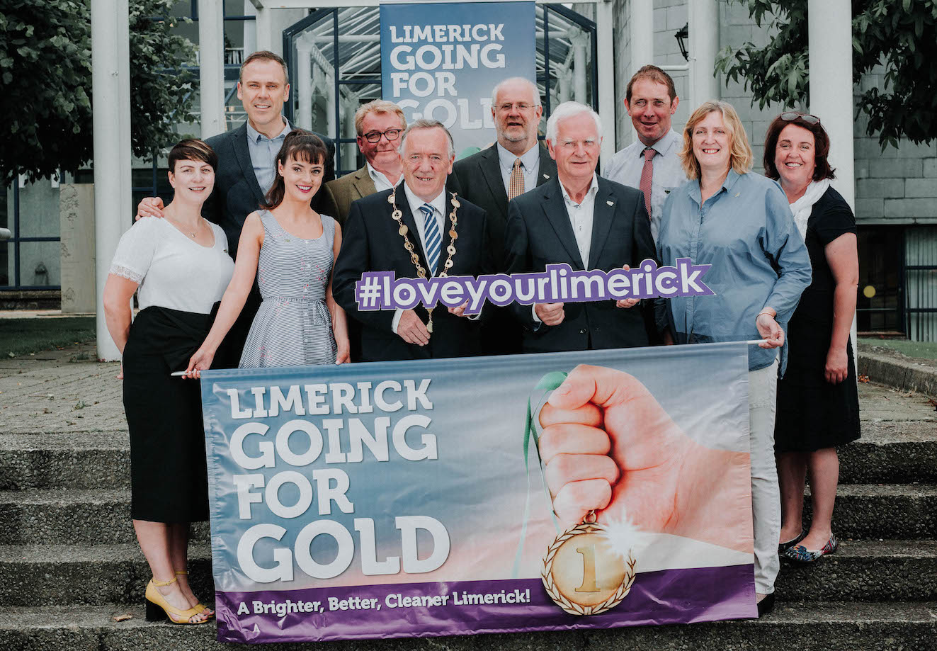 Limerick Going for Gold 2017