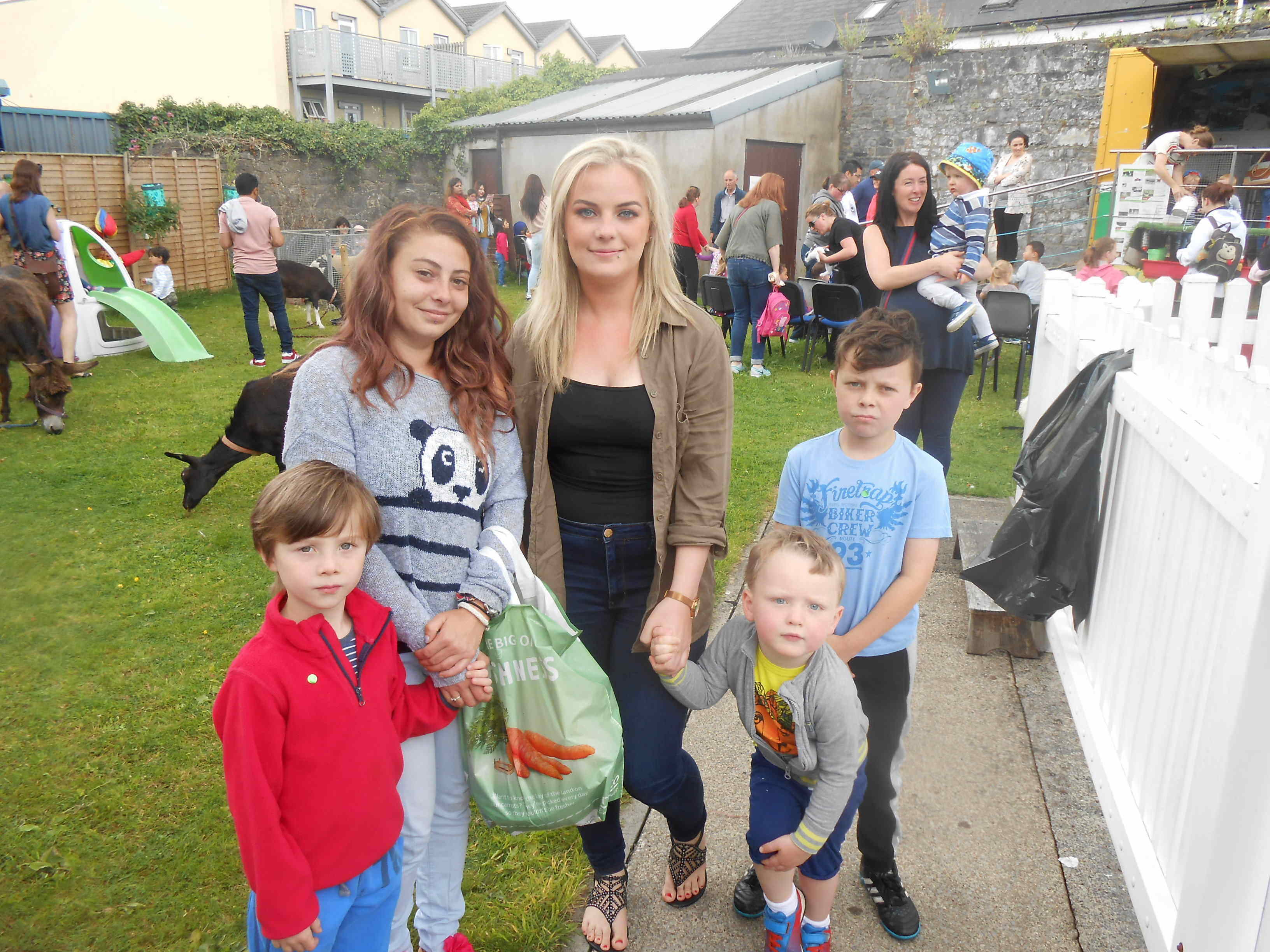 Limerick Social Service Council Ltd Family Fun Day