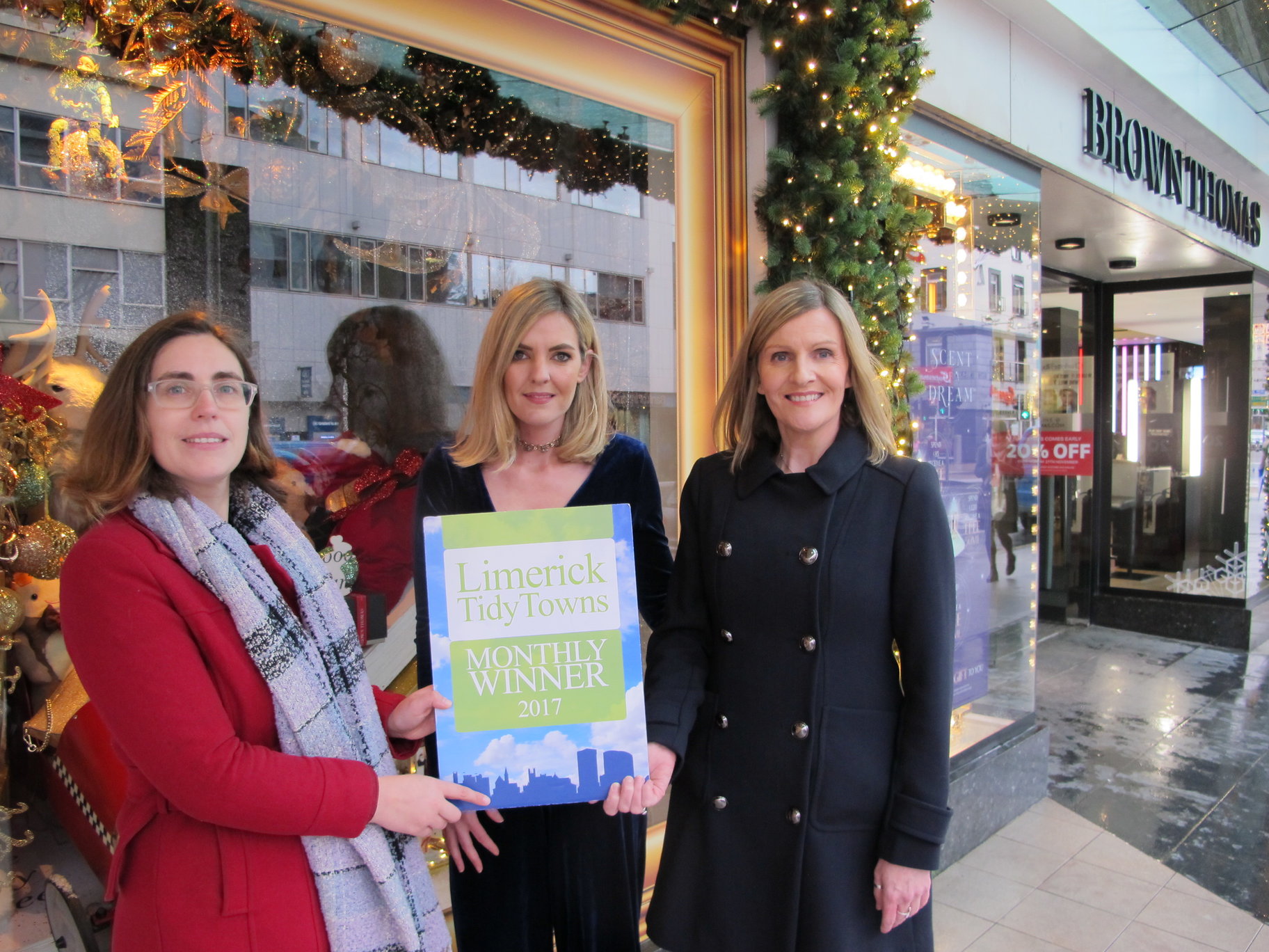 Limerick City Tidy Towns Final Monthly Award 2017